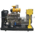 20kw to 135kw Ricardo Diesel Generator